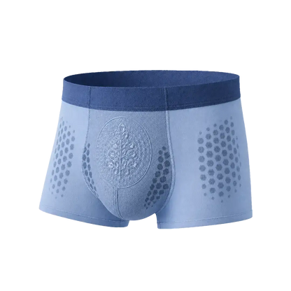 𝐀𝐤𝐲𝐠𝐨® 𝟐𝟎𝟐𝟔 𝐌𝐨𝐫𝐢𝐧𝐠𝐚 x 𝐁𝐞𝐫𝐛𝐞𝐫𝐢𝐧𝐞 x 𝐍𝐀𝐃+ 𝟔-𝐈𝐧-𝟏 𝐌𝐢𝐜𝐫𝐨-𝐏𝐚𝐫𝐭𝐢𝐜𝐥𝐞 𝐒𝐜𝐮𝐥𝐩𝐭𝐢𝐧𝐠 & 𝐅𝐚𝐭-𝐁𝐮𝐫𝐧 𝐒𝐡𝐨𝐫𝐭𝐬