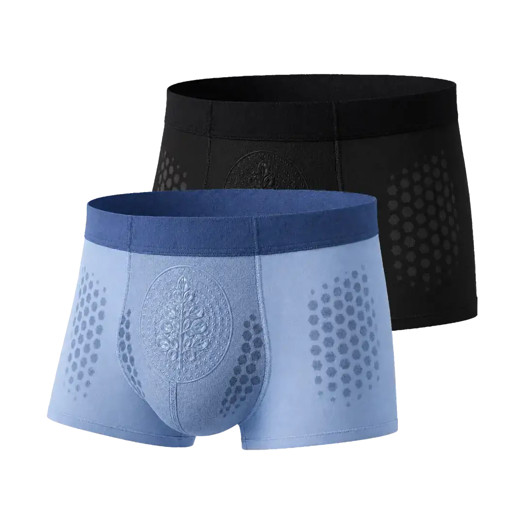 𝐀𝐤𝐲𝐠𝐨® 𝟐𝟎𝟐𝟔 𝐌𝐨𝐫𝐢𝐧𝐠𝐚 x 𝐁𝐞𝐫𝐛𝐞𝐫𝐢𝐧𝐞 x 𝐍𝐀𝐃+ 𝟔-𝐈𝐧-𝟏 𝐌𝐢𝐜𝐫𝐨-𝐏𝐚𝐫𝐭𝐢𝐜𝐥𝐞 𝐒𝐜𝐮𝐥𝐩𝐭𝐢𝐧𝐠 & 𝐅𝐚𝐭-𝐁𝐮𝐫𝐧 𝐒𝐡𝐨𝐫𝐭𝐬